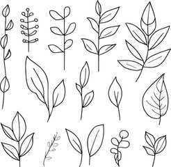 botanical line drawing leaves, botanical line art. wildflower botanical line art, vintage botanical line drawing, botanical illustration botanical line drawing, simple botanical line drawing, simple b