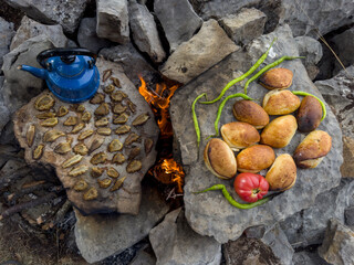 natural nutrition in nature, cooking morel mushrooms and preparing tea