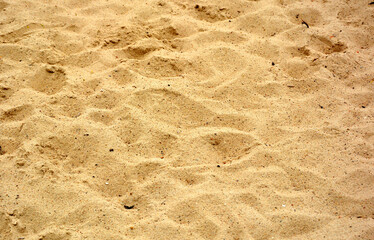 Beach , sand over the water lagoon - theme , treasure , pirates - gold buried - chest