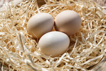 Wiejskie kurze  jajka ułożone na sianie