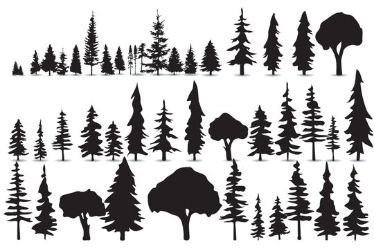 Vector collection of black pine trees on white background
