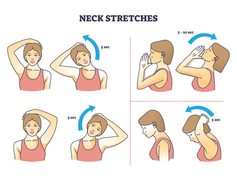 Neck stretches instructions for correct head and shoulder posture outline diagram. Labeled educational physical rotation, pulling and bending activity for muscle relief after work vector illustration