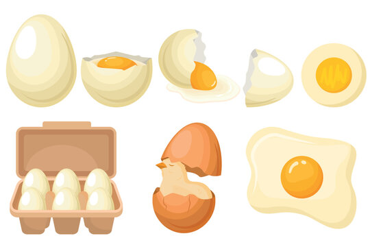 Vector set of farm eggs. The concept of cooking and fresh food. Chicken yolk and protein. A beautiful element for your design.