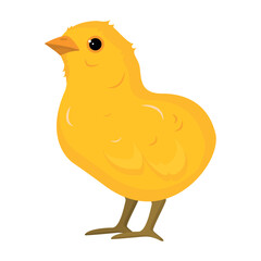 Vector image of a chicken. The concept of cooking and fresh food. Chicken yolk and protein. A beautiful element for your design.
