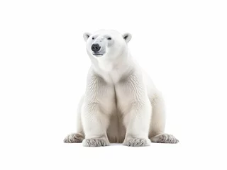 Foto op Canvas Photo polar bear isolated on a white background © Tatiana