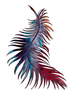 Isolated digital image of an exotic fluffy bird feather in a red-purple gradient. Elegant illustration in dark exotic watercolor for a creative design. Bright modern decor for nature and animal lovers