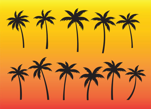 Black palm tree set sunset vector illustration on sunset background silhouette art png