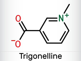 Trigonelline plant alkaloid molecule. It is methylation product of niacin vitamin B3, methylated niacin. Skeletal chemical formula