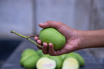 Hand-holding raw green mango with the blurry background