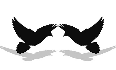silhouette white dove international symbol of peace