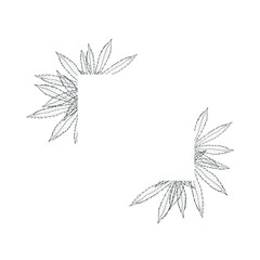 Square frame, cannabis in the form of a frame, cannabis in graphics, branches, cannabis leaves in graphics