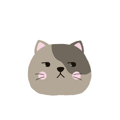 Cat face