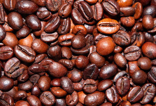 A close-up with many roasted coffee beans
