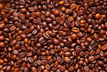 A close-up with many roasted coffee beans