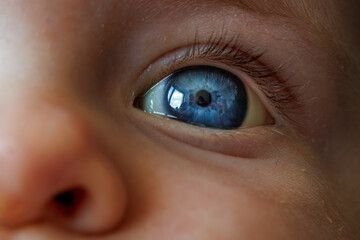 close up of baby blue eye iris