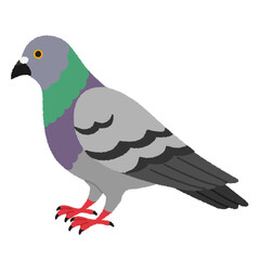 Fototapeta premium 鳩のイラスト