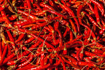 Fototapeta premium Red spicy chili peppers at asian market close up texture background