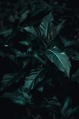 An elegant design photo of dark plants on a sombre background. Stylish wallpaper concept. Abstract nature of the garden decor is highlighted by green leaves and the texture of branches. Generative AI.
