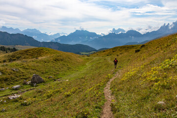 Passo San Pellegrino, Trentino Alto Adige 