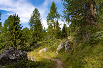 Obraz premium Passo San Pellegrino, Trentino Alto Adige 