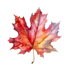 Naklejka premium Watercolor illustration of a red maple leaf isolated on white background. Generative AI.
