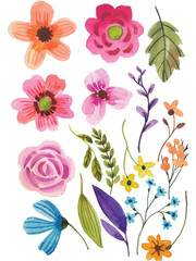 set of watercolor flower elements clipart on isolated background