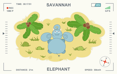 Children's cartoon illustration with an elephant in the African savannah. Top view. Video surveillance with a drone from above. Vector template