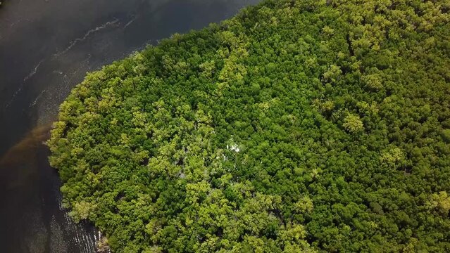 Gazi Mangroves and beautiful river in Kenya. Aerial birds eye view natural landscape of Africa