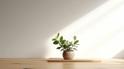 Green plant in a vase on the table, floor with white background, natural ight, minimalism wallpaper created with Generative AI technology