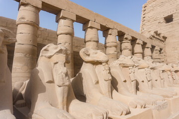 Sphinxes and columns of dromos of Karnak temple complex of Amun-Ra at Luxor, Egypt.