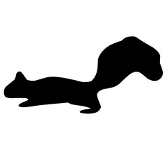 Squirrel Silhouette 