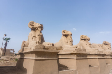 Sphinxes of dromos of Karnak temple complex of Amun-Ra at Luxor, Egypt.