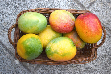 Fresh mangoes in a basket