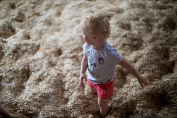 child in the hay