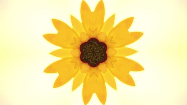 Sunflower windmill toy Element moving symmetry inspiration from Mandala pattern, abstract nature pattern and background. 