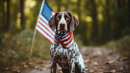Happy German Shorthaired Pointer carrying USA flag 4th of july with Generative AI Technology