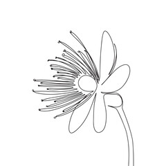 Abstract hand drawn flower. One line continuous flower. Line art blossom flower, outline vector illustration.