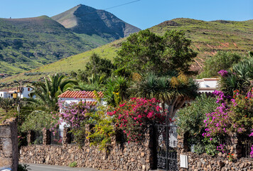 Colourful garden in the green valley of Vallebron La Oliva Fuerteventura