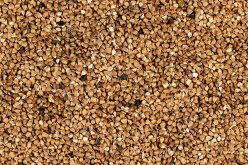 natural ecological grown buckwheat, close up