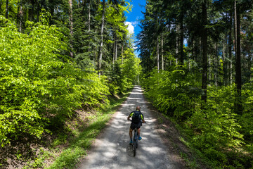 Fototapeta premium Man on mtb bike ride trough lush forest at spring, aerial drone view