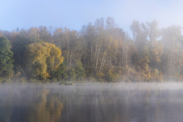 Naklejka na ściany i meble Trees and fog in the morning in autumn