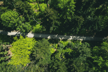 Obraz premium Road trough lush green forest, aerial drone view