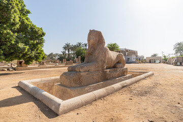 Fototapeta na wymiar alabaster sphinx of Amun-Ofis II at the ancient Egyptian capital of Memphis in northern Egypt. The statue is four and a half metres high and eight metres long.