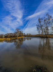 the long-awaited spring in the countryside