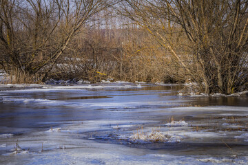 the long-awaited spring in the countryside