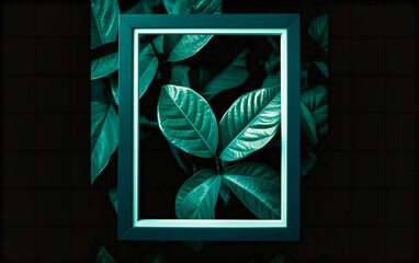green leaves with a white frame in the middle