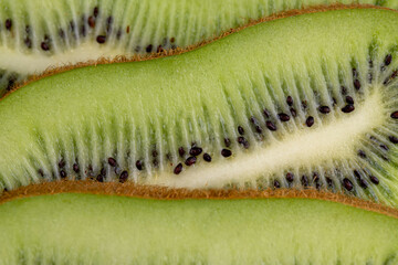 Ripe green kiwi sliced into thin slices