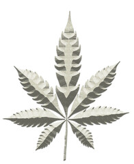 Leaf Cannabis Colorful Logo illustrations for your work. Creative image of marijuana leaf, symbol of high and enjoyment, illustration