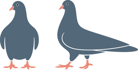 Dove logo. Isolated dove on white background. Bird