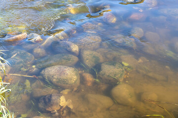Fog-covered river in the autumn season